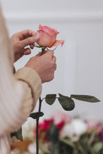 Modern Floral Arrangement in a vase Workshop in Auckland