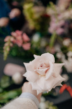 5 July 2026 2pm (Sunday) Bloom&Sip: Modern Vase Design Workshop