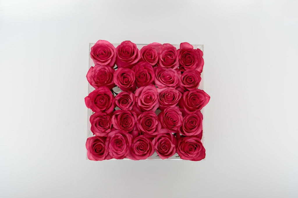 Roses in a clear box - Large - Fleur & Co.