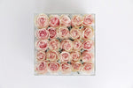 Roses in a clear box - Large - Fleur & Co.
