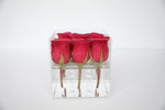 Roses in a clear box - Small - Fleur & Co.